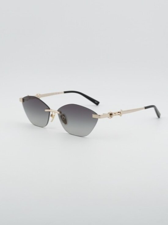 Gucci GG2050S 002 Sunglasses Gold Cat Eye Frame, Grey Lenses main image 11